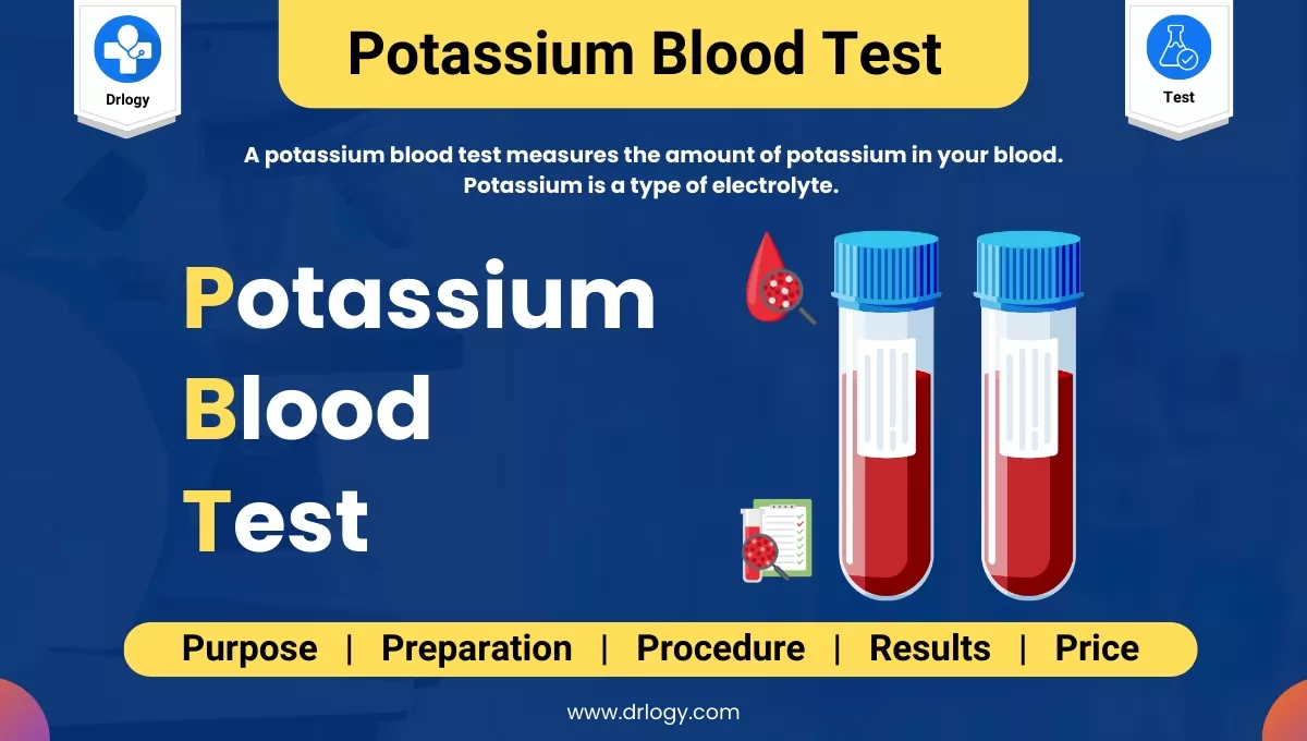 Potassium Blood Test For Kidney Function